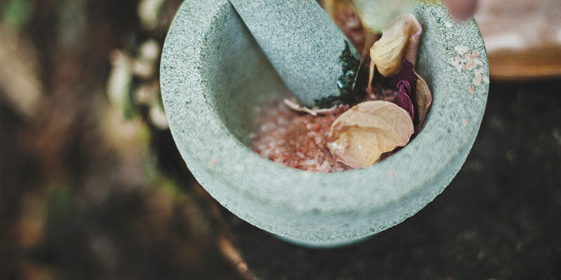 Scent diary: Notes on the Rose, ‘Queen of Flowers’